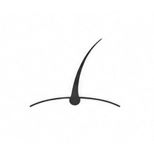 Fine vellus hair on the face