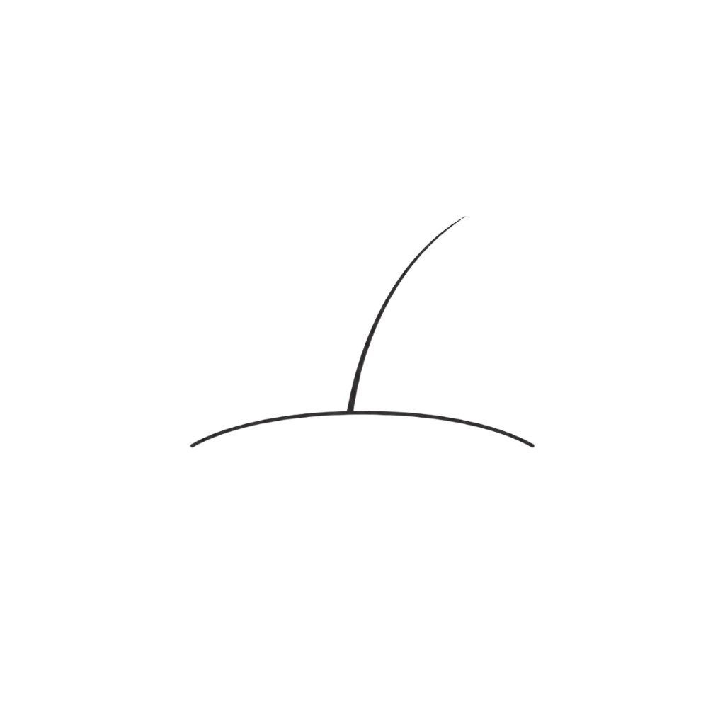 Clinical line-art icon showing a fine hair emerging from the skin surface, representing facial vellus hair or peach fuzz.