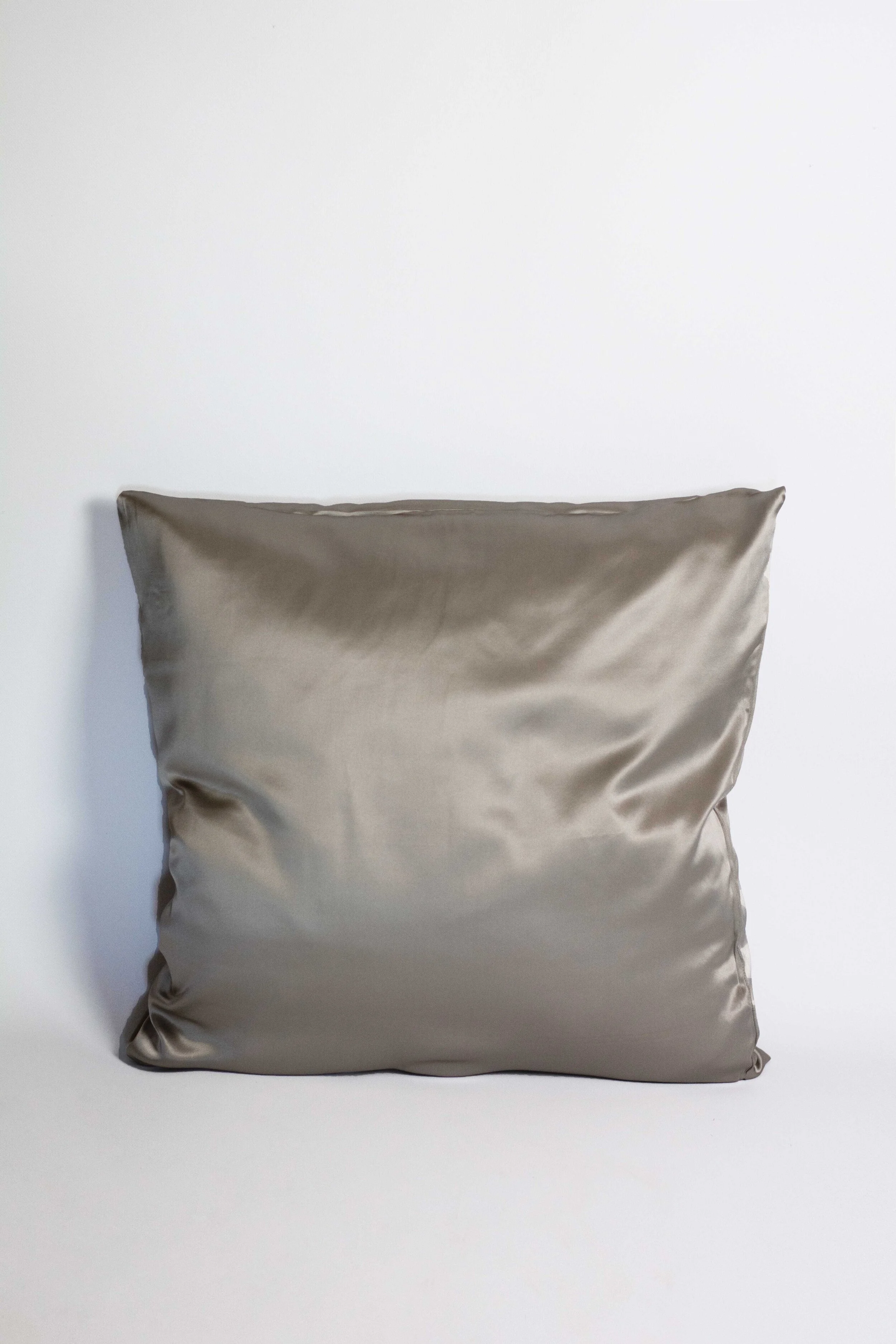 Taie d'oreiller en soie naturelle GRIS ARGENT