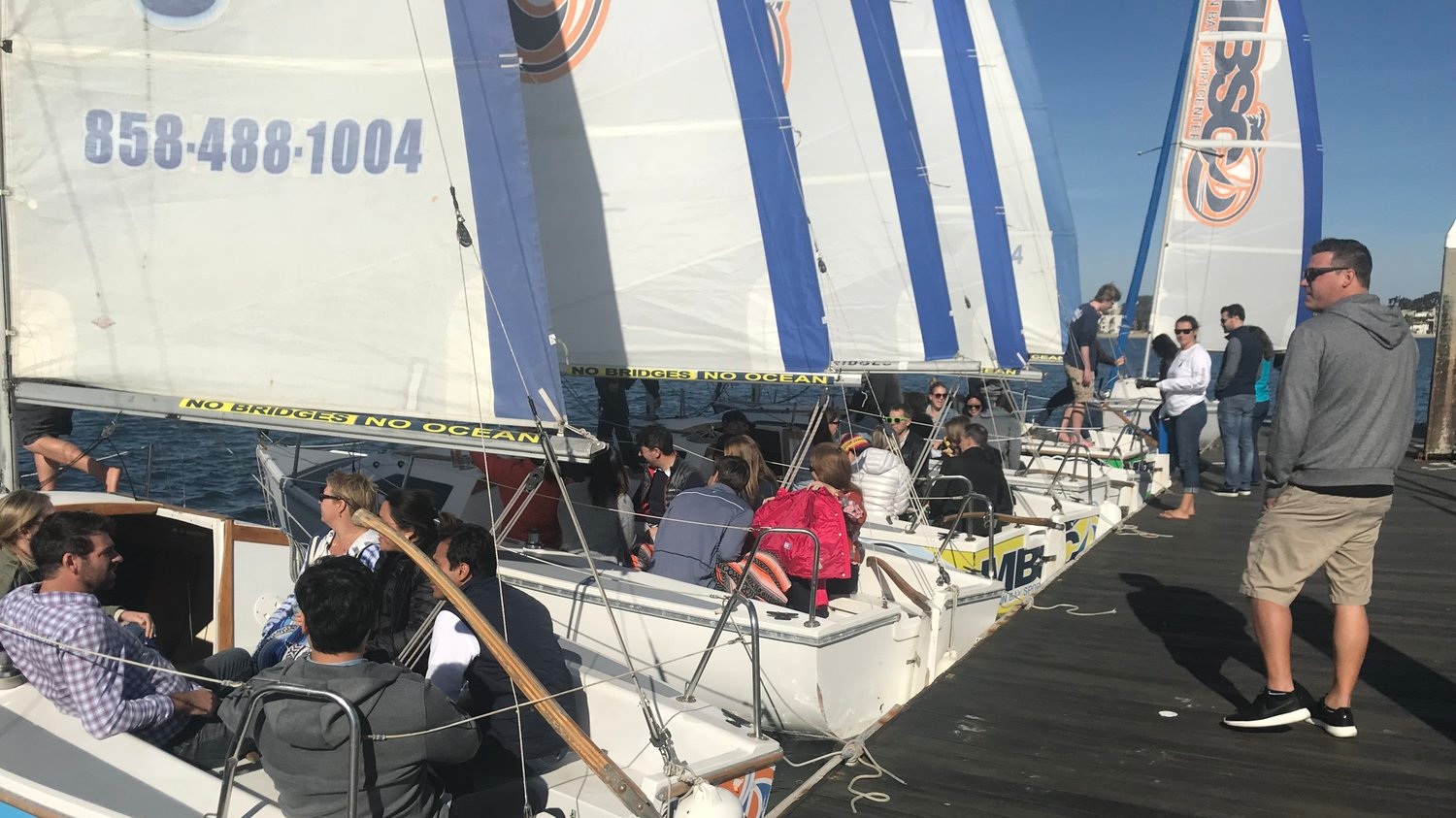 sailboatraces.jpg