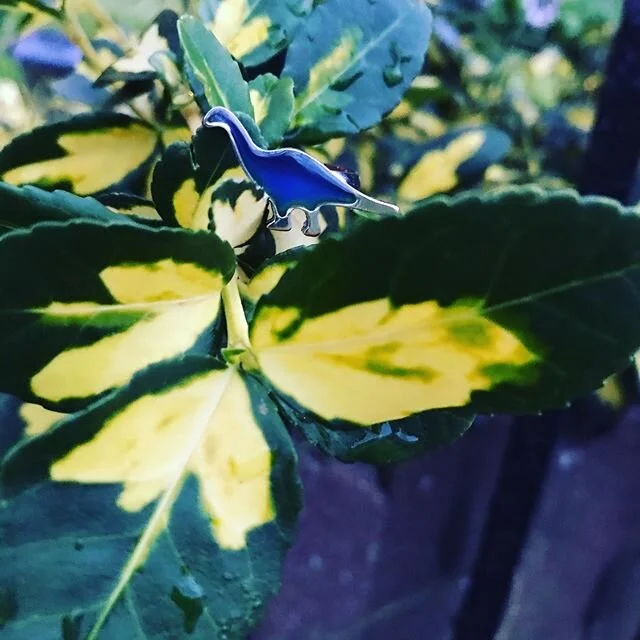 MOOD. So I took Bronty out for an art walk🦕🍃 I absolutely LOVE when leaves look like watercolors, fluid, bleeding into another hue. Each leaf, unique in its colorations, an art piece framed within itself, or else beautifully laid out like a collect