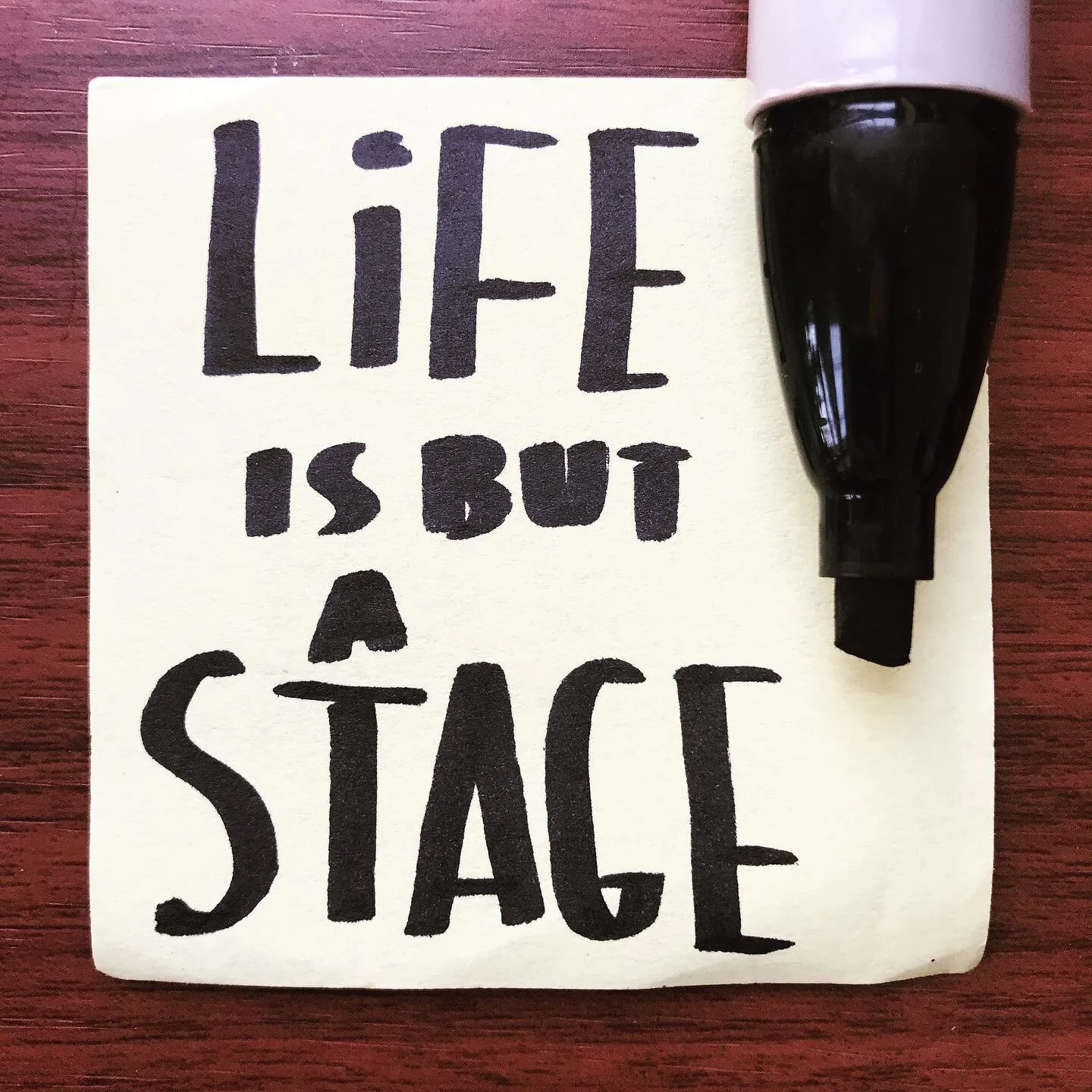 Life is but a walking shadow, a poor player that struts and frets his hour upon the stage and then is heard no more. It is a tale told by an idiot, full of sound and fury signifying nothing. &mdash;Macbeth