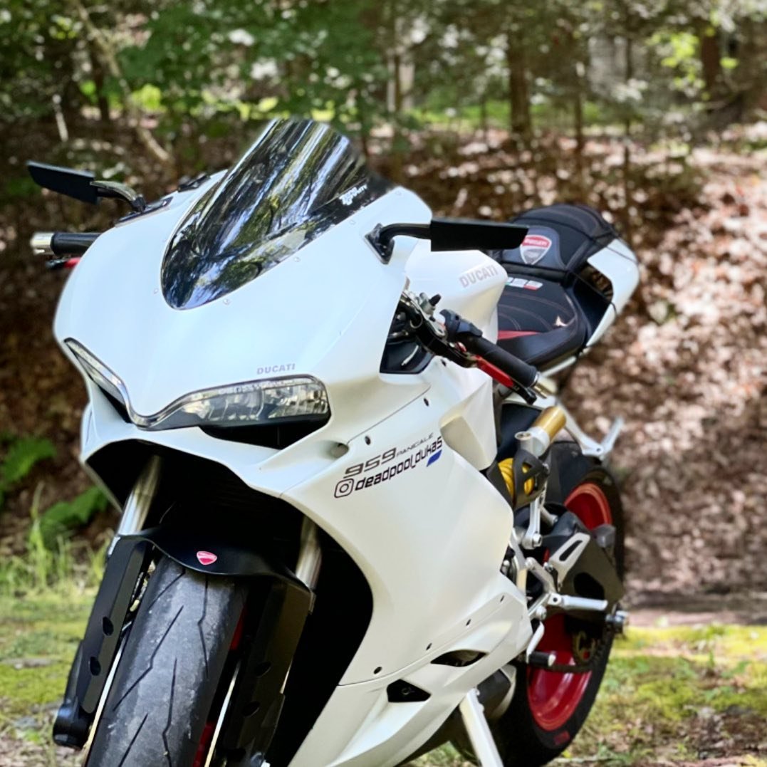 🕸🤍 Sasha, the love of Deadpool Duca.