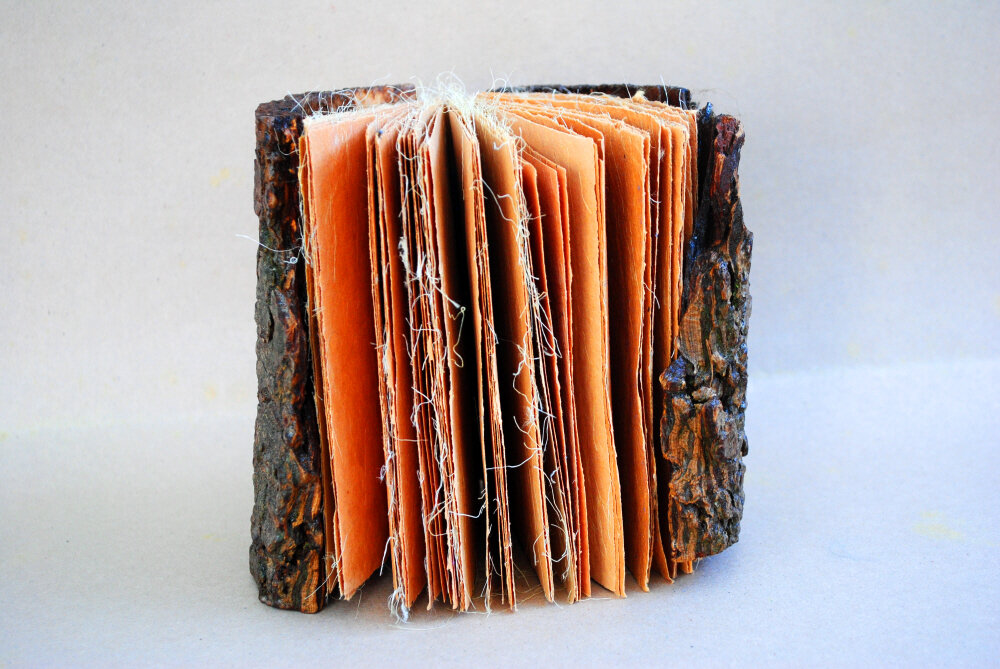 Handcrafted Books from natural materials — The Wren and the 