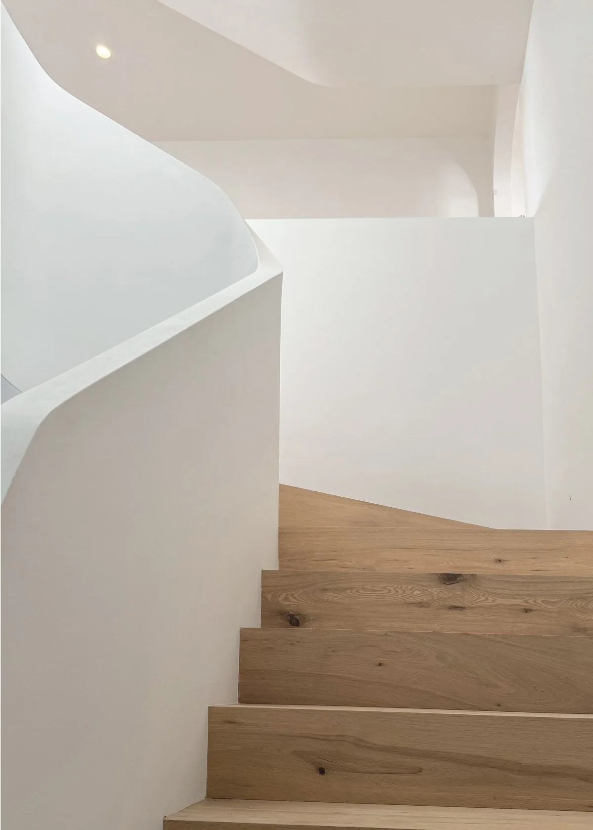 chablis-oak-engineered-flooring-vaucluse-sydney-project-04.jpg