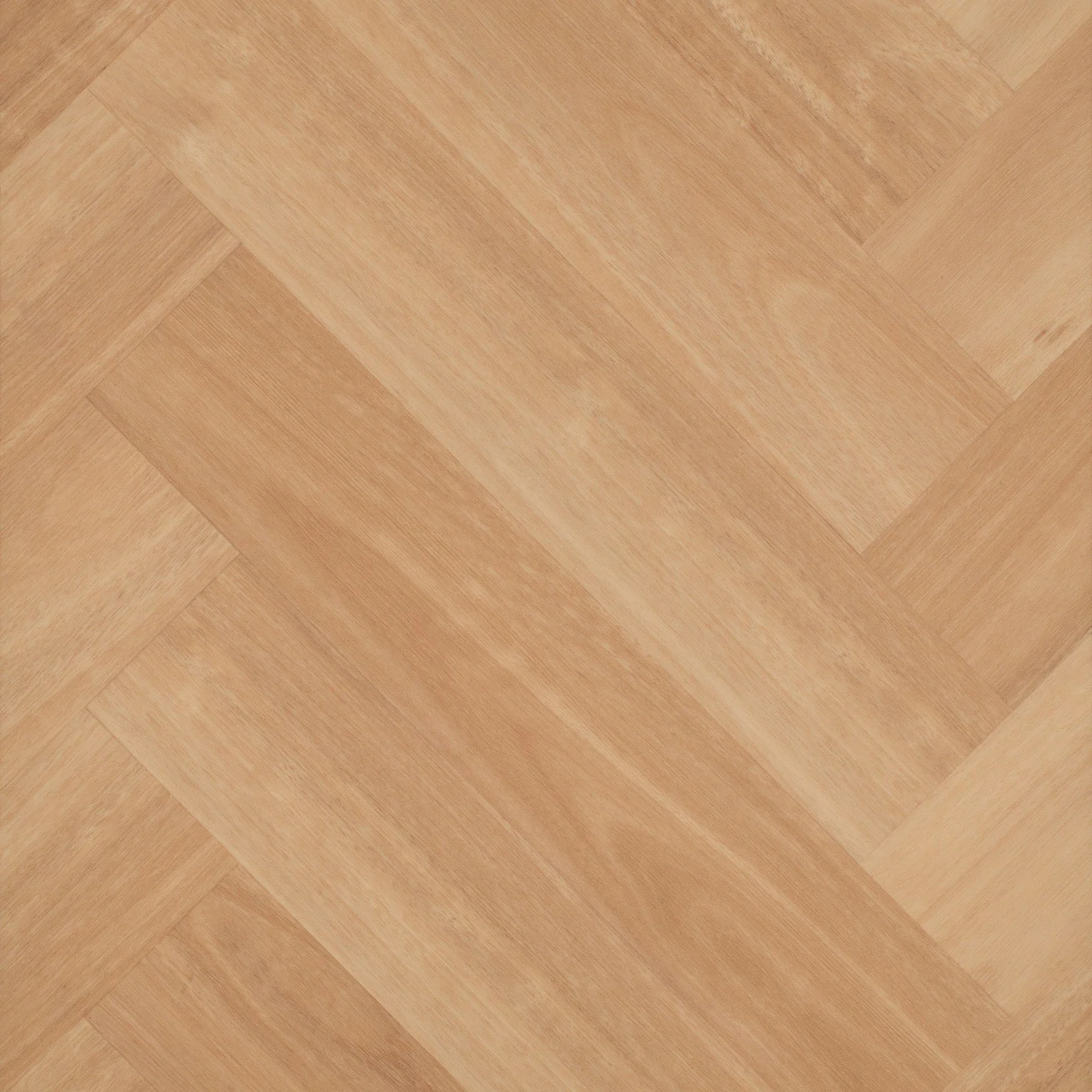 Chai Blackbutt