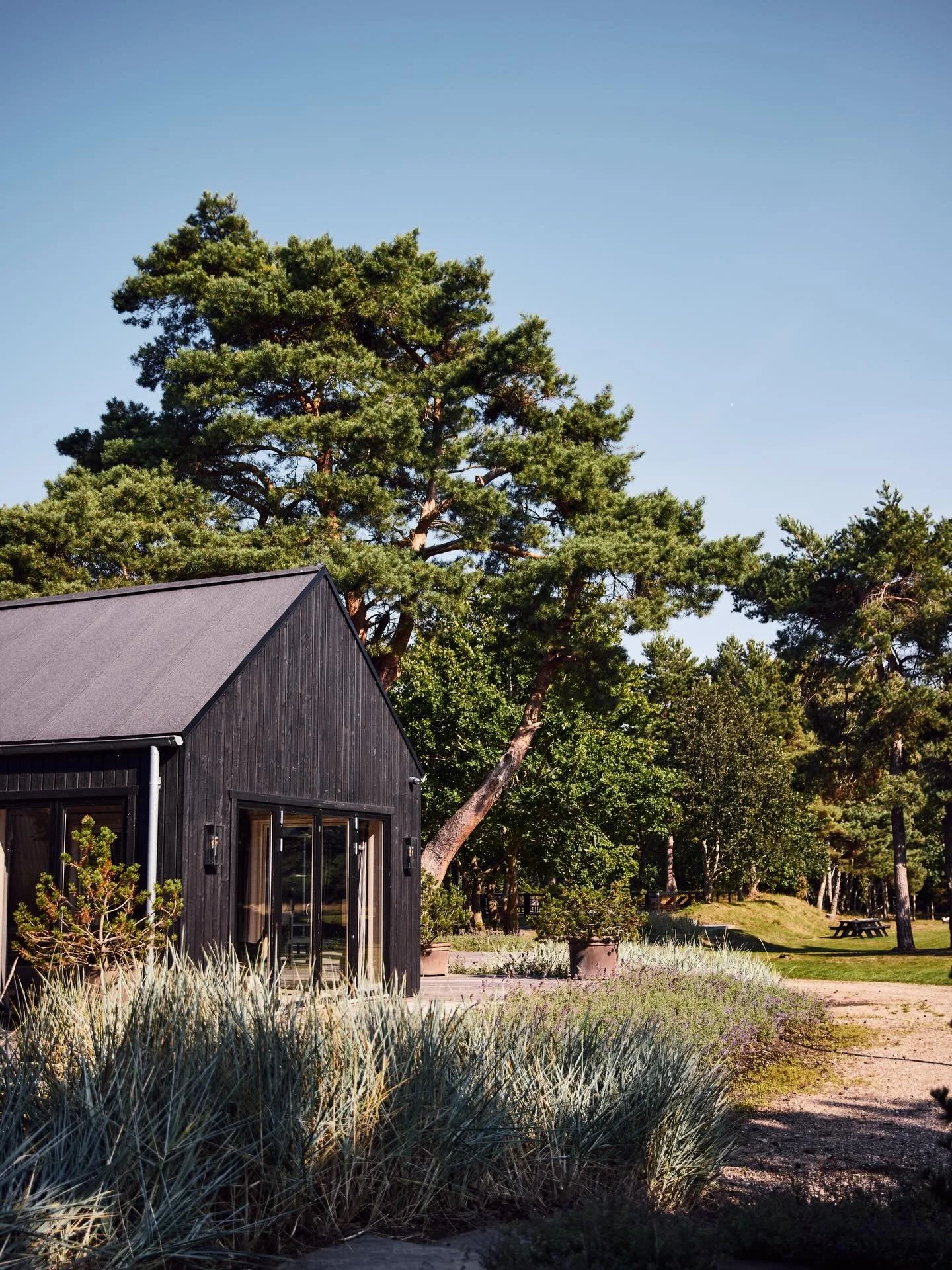 Solen skinner p&aring; Eneb&aelig;rg&aring;rden ☀️ Hvis du gerne vil nyde det smukke vejr p&aring; Eneb&aelig;rg&aring;rden, s&aring; skal endelig til os her p&aring; Instagram eller p&aring; info@enebaergaarden.dk ✨ #summer #sommerhus