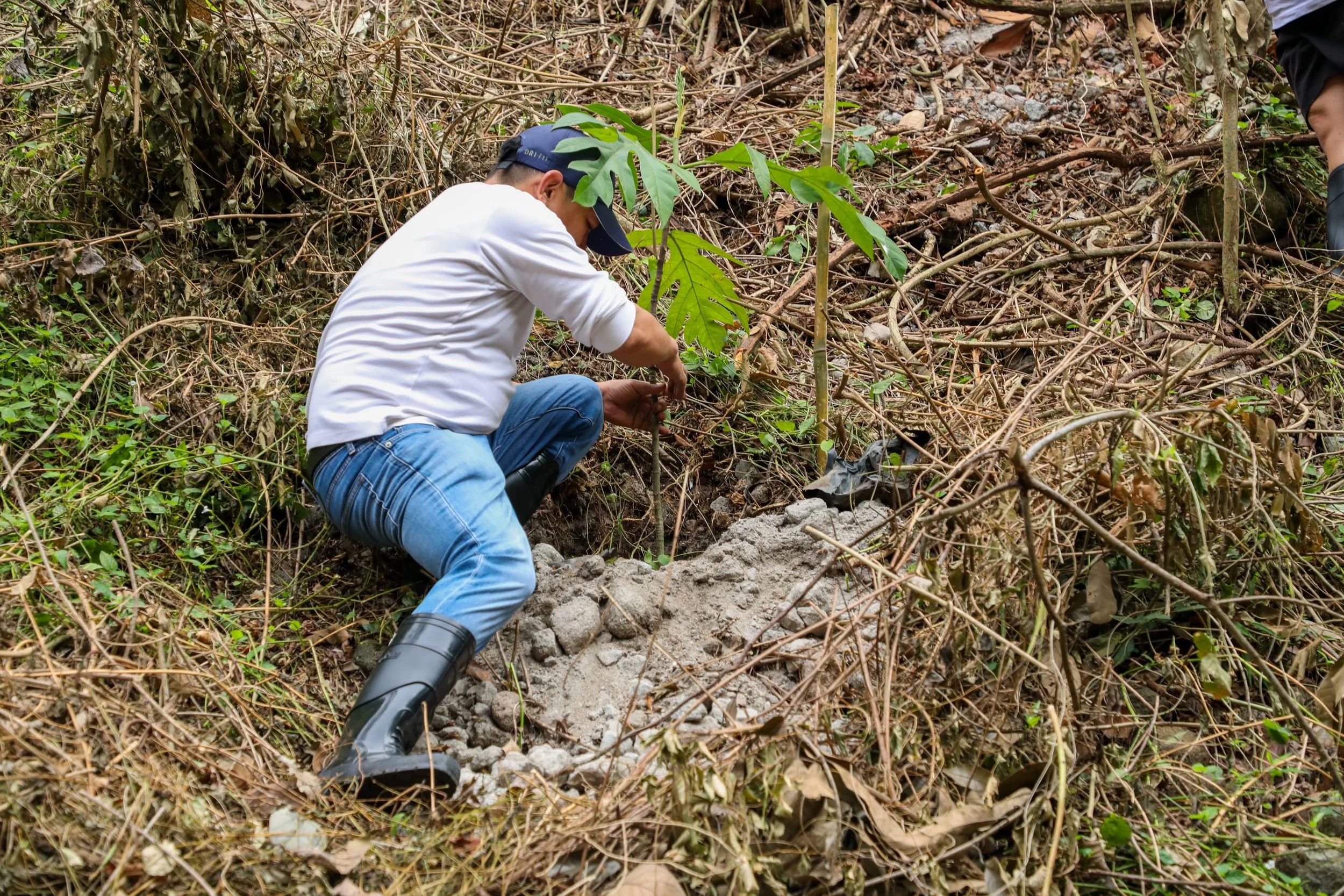 DLSBI_LIFE Treeplanting Activities-047.jpg