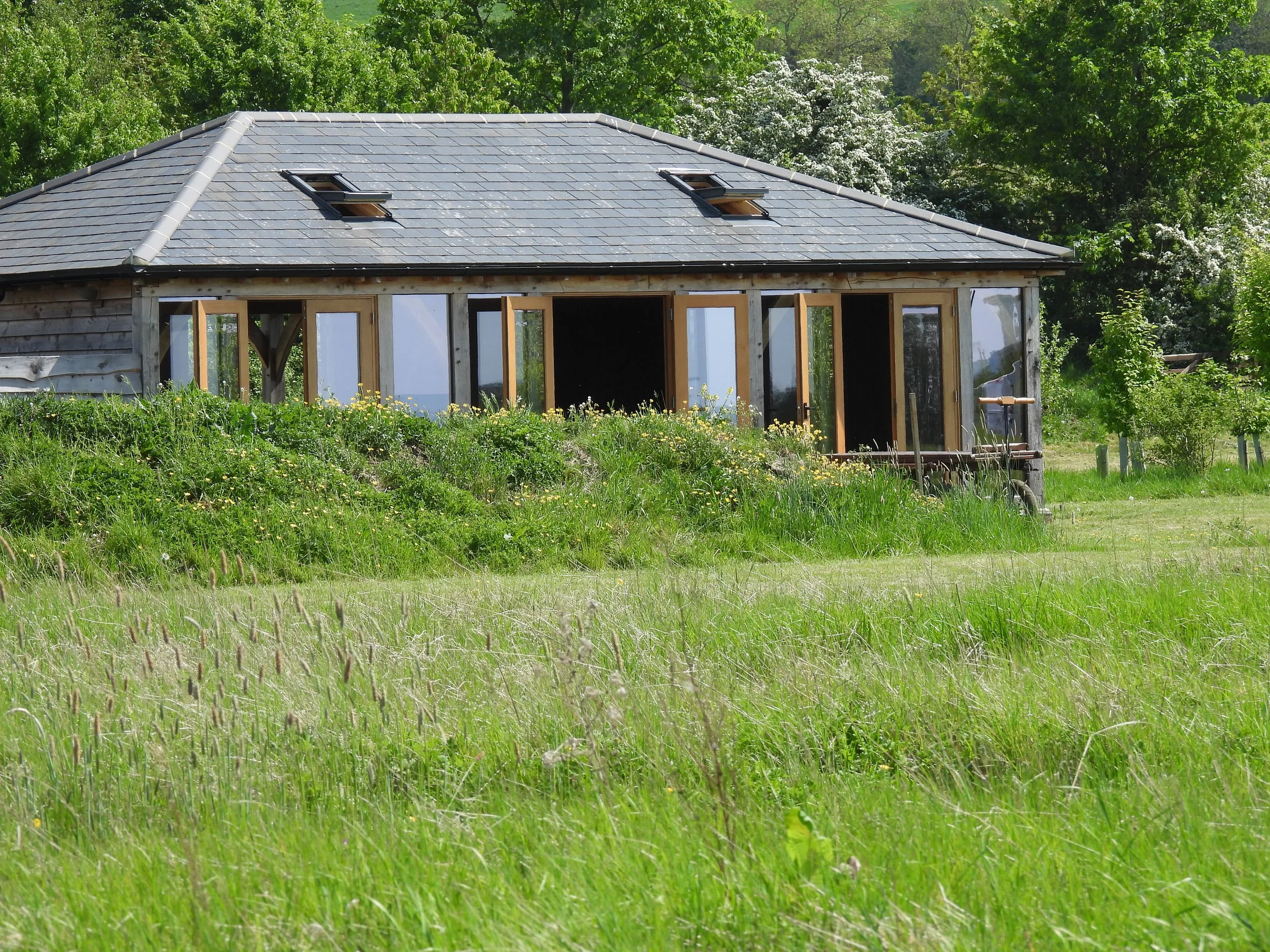longhouse across orchard bund.JPG