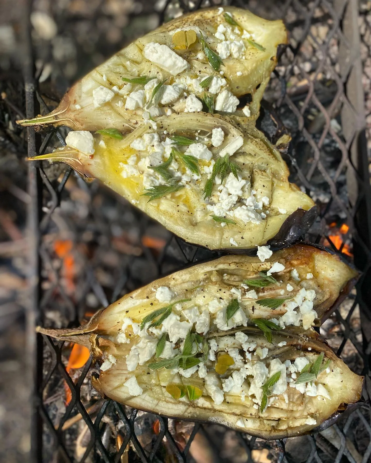 An Aubergine Affair - with wild garlic salt and bramble tips. A Peek into our Menu development of our Woodland Dining season starting in May.  #aubergine #foodonfire #alfrescodining #foragefinefoods #menudevelopment