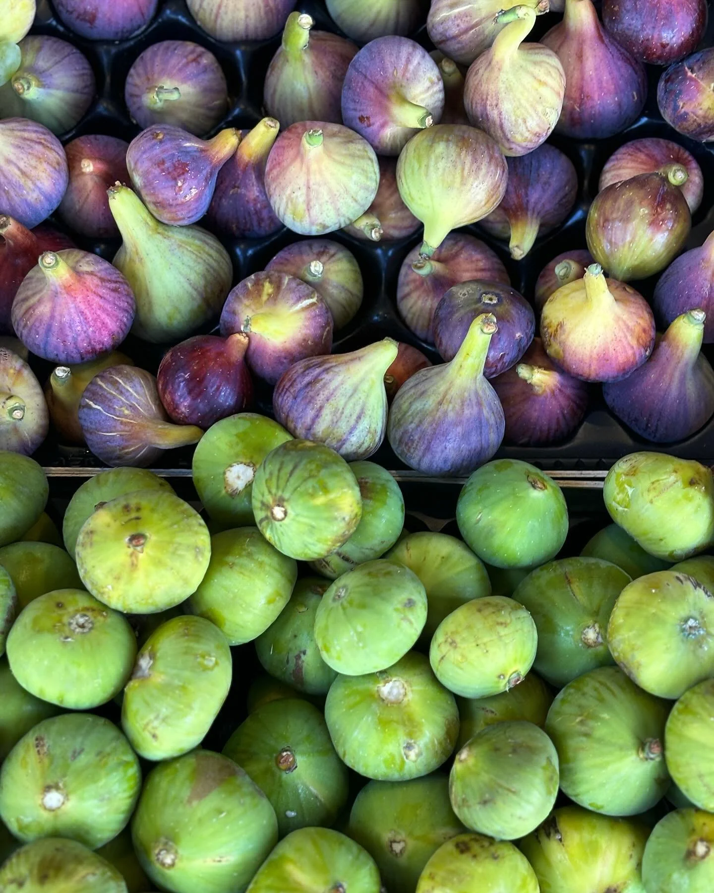 I could live on Figs until the end of my days!  #figs #mediterraneanfood #fruit #ilovefigs #greece #greekfood #iloveplants