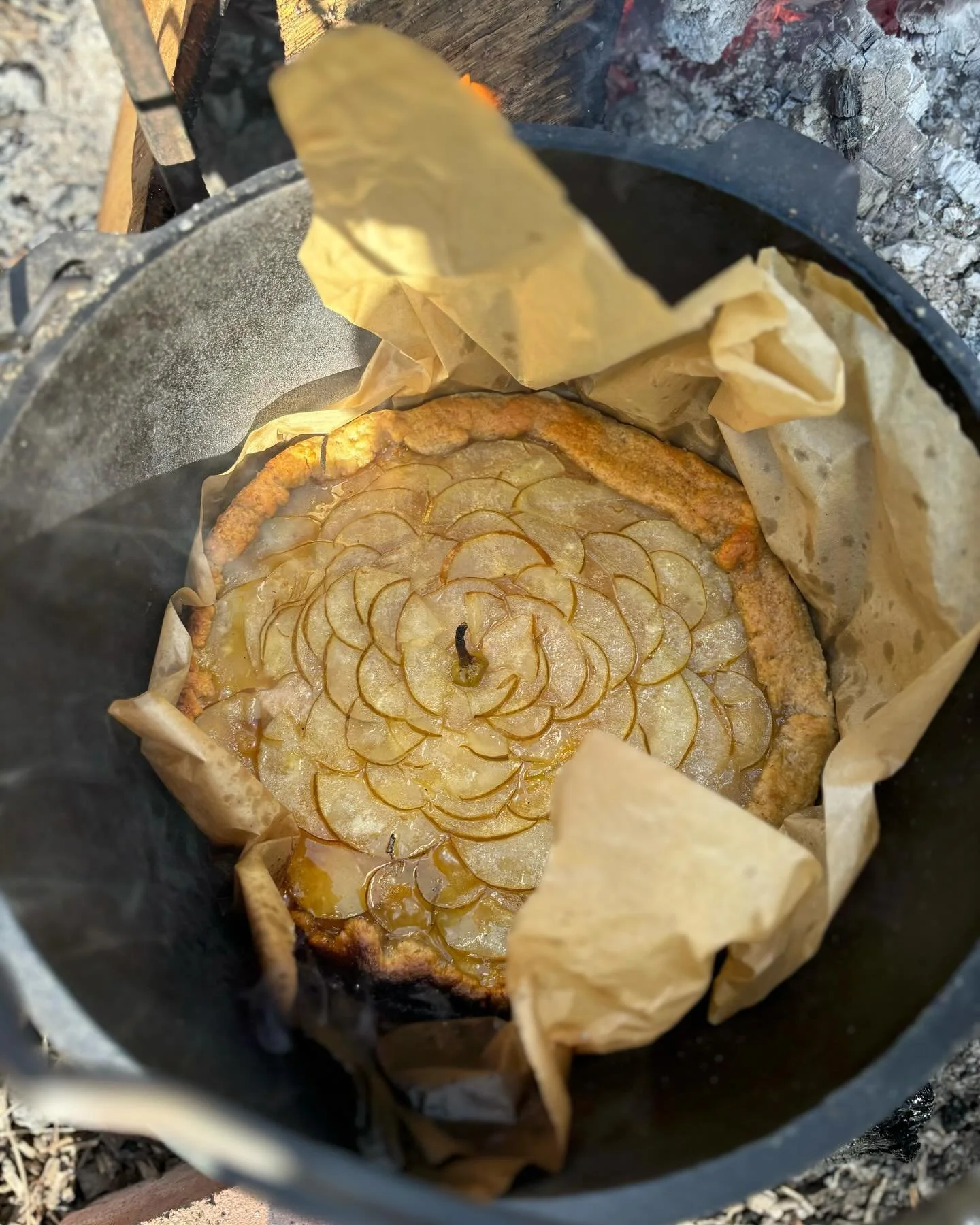 Had so much fun hosting an Autumn harvest Cooking workshop this weekend. Together with wonderful @forward.tom we led such an inspiring tween group to create a delicious menu: making wild green salads, pink beet pasta, a pear galette with fresh plum s