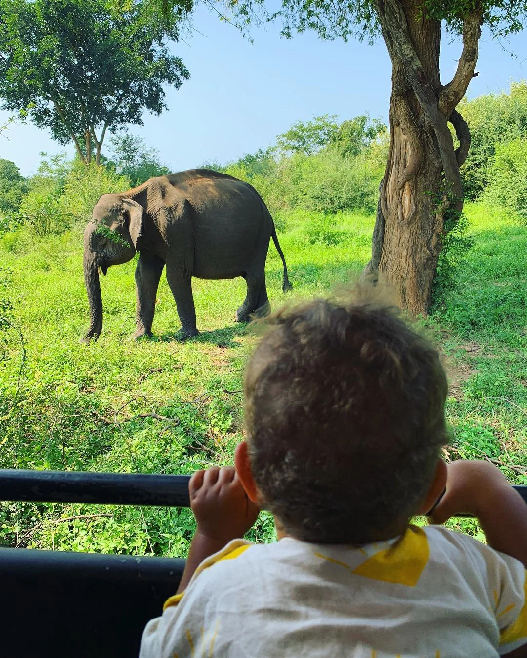 TRAVEL ADVENTUROUS WITH KIDS