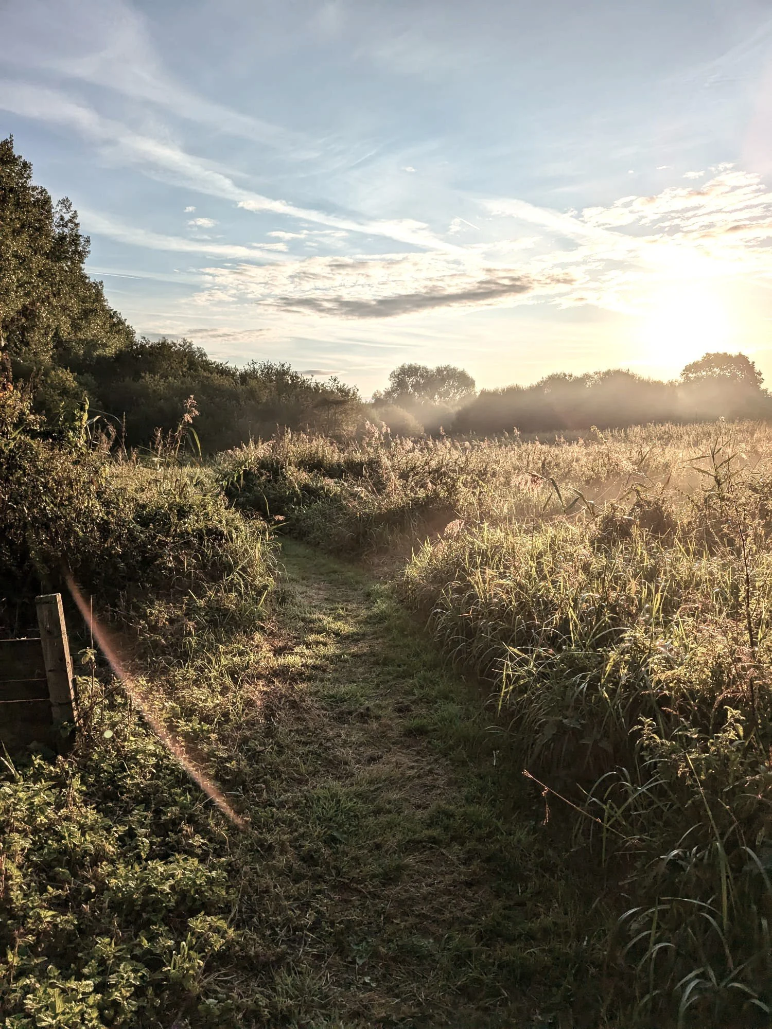 Escape to the Meadow - A day to retreat with Alice & Helen
