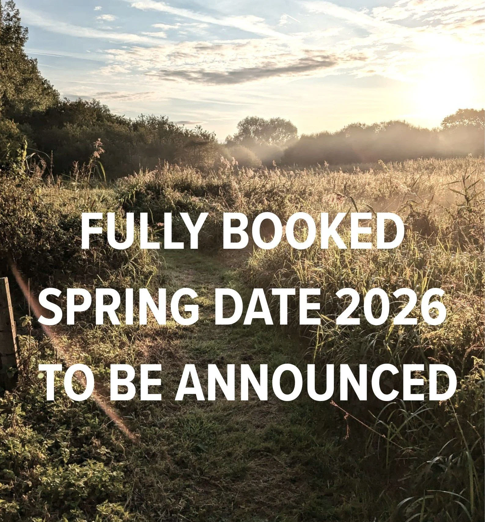 Escape to the Meadow - A day to retreat with Alice & Helen