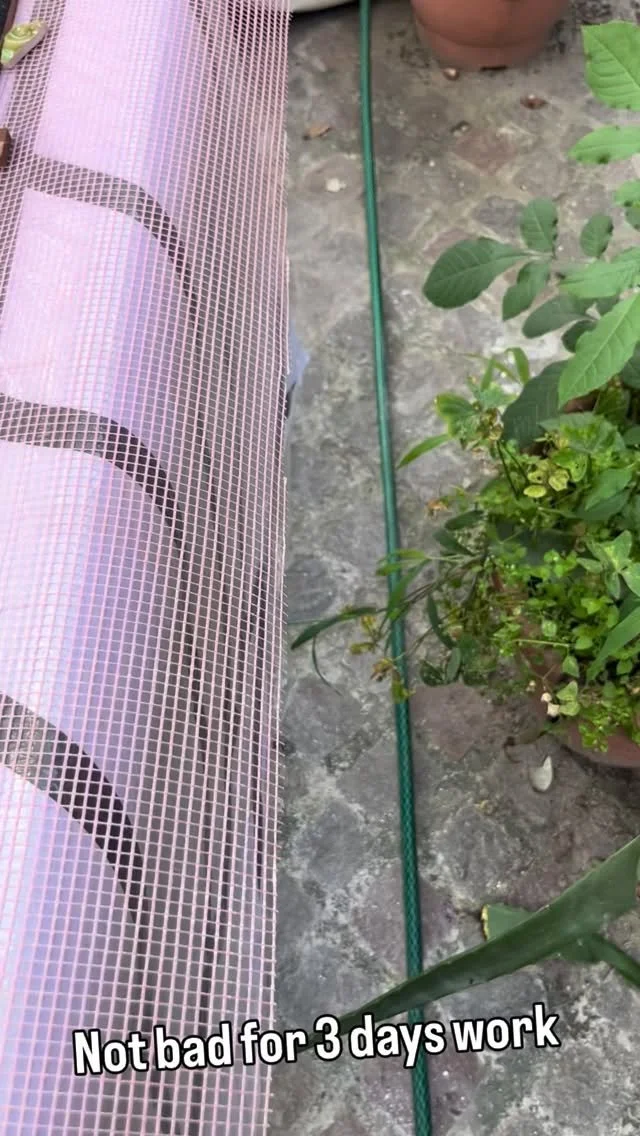 Wow- not bad for 3 days work . What a team, what good vibes. Blessed to be here. #ceramicart #publicart #mosaici #mosaic #mosaictiles #mosaicartist #mosaicart #mosaiikki #mosaica #mexicanart