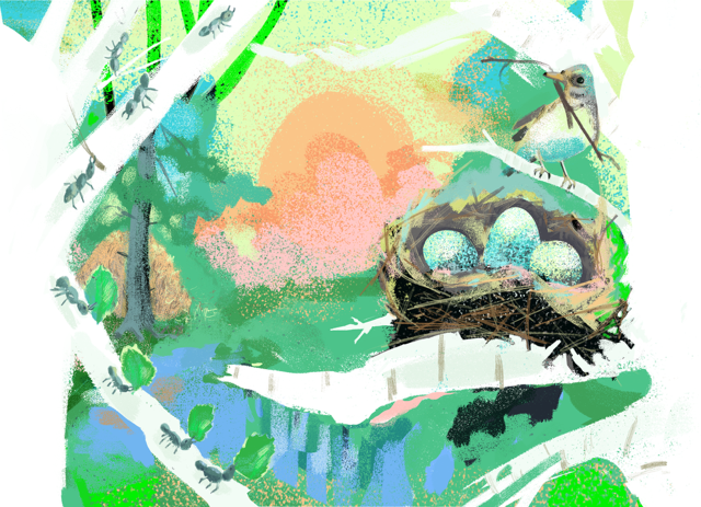 TL_mauren_egg_NY.png
