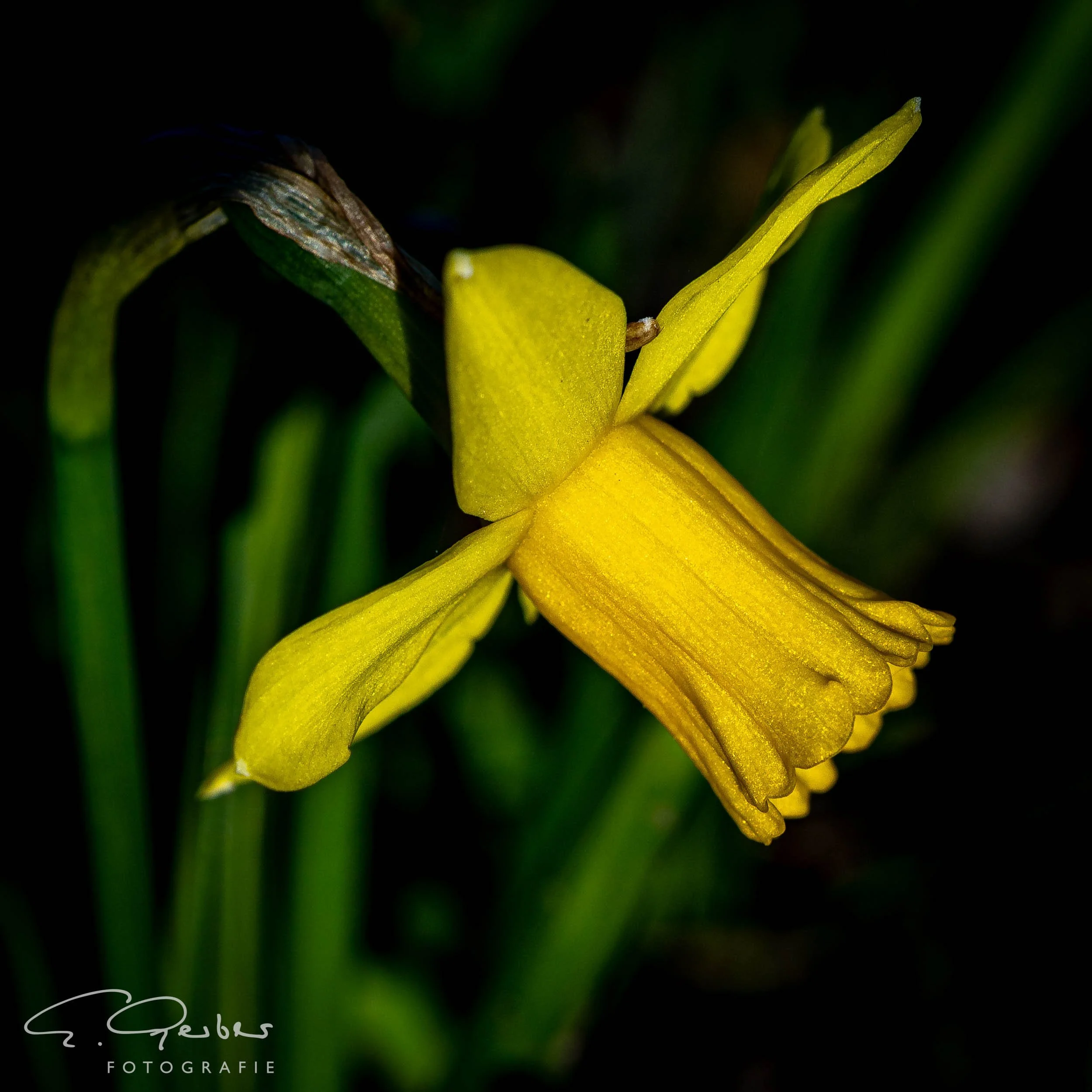 20260312-20260312_unbenannte Fotosession_BX2A1279.jpg