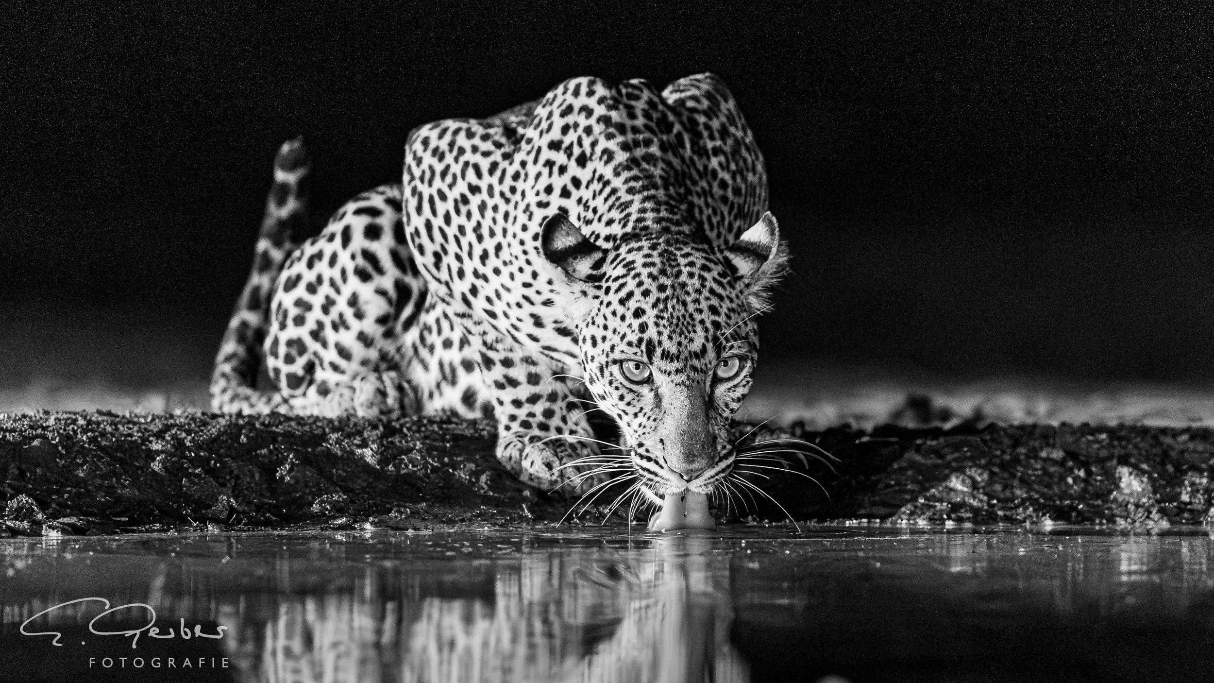 20260206-1R6A0362 (2).jpg