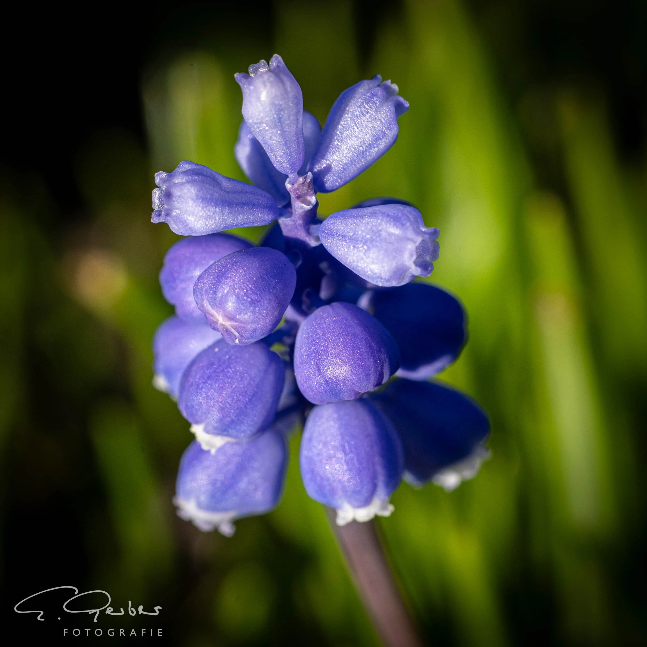 20260312-20260312_unbenannte Fotosession_BX2A1272.jpg