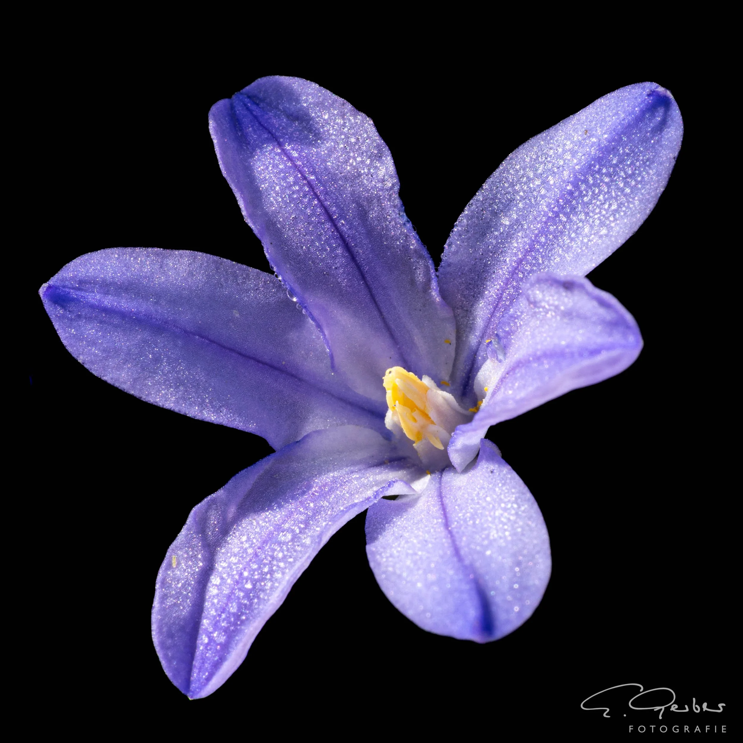 20260308_unbenannte Fotosession_BX2A1257.jpg