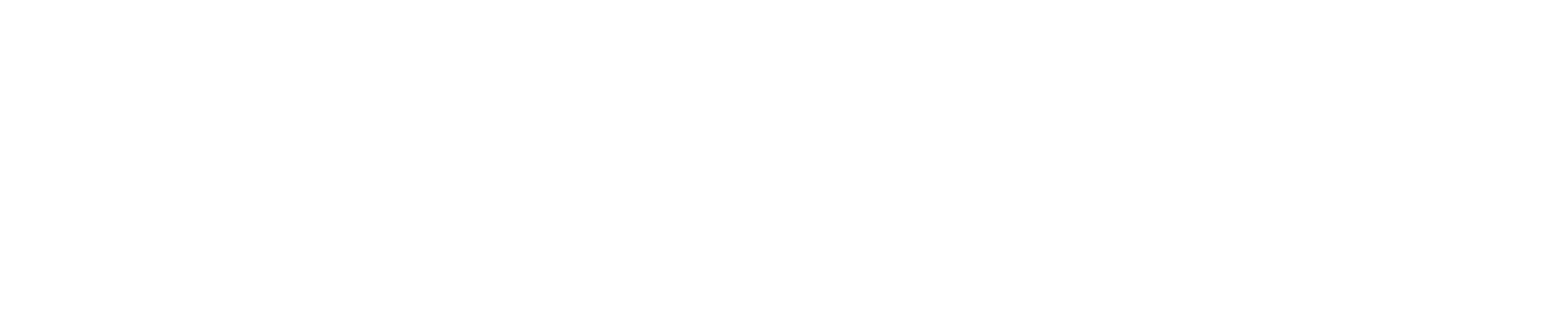 Borderless - Full Light Logo@4x.png
