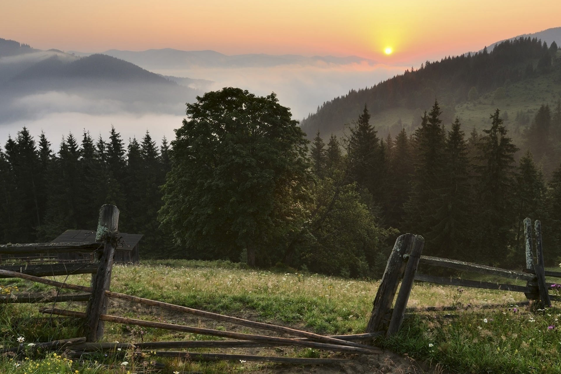 countryside.jpg