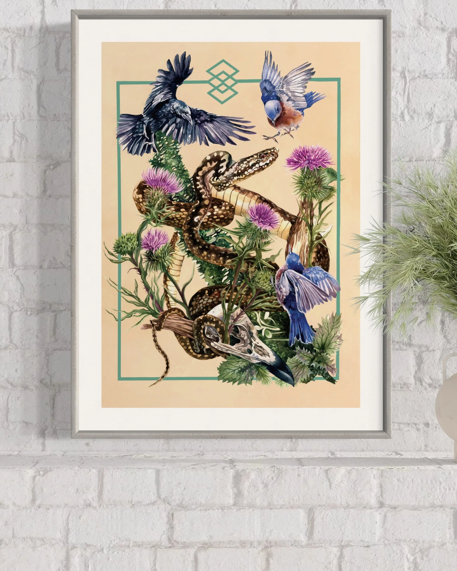 Adder amongst the thistles