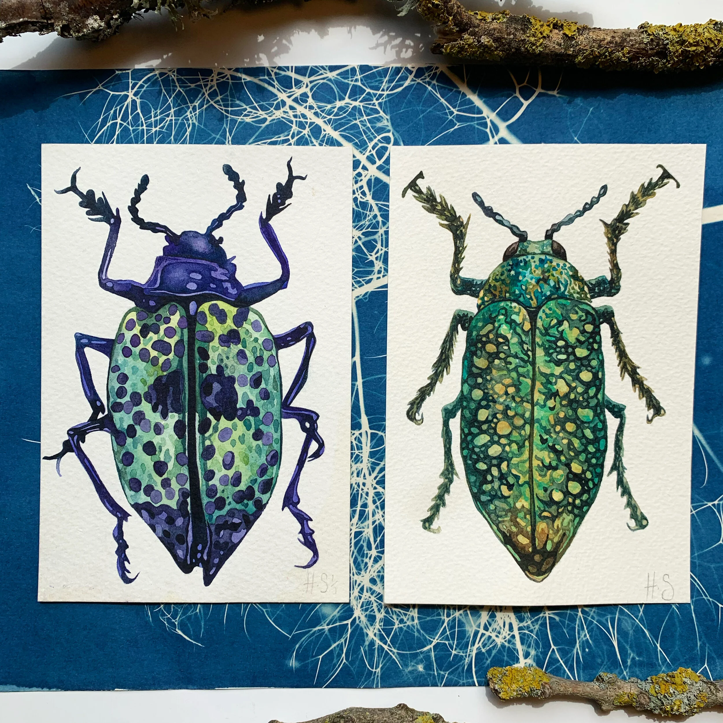 709A13B2-462E-4B0A-A4F2-83F89A83EA8B 2.JPG