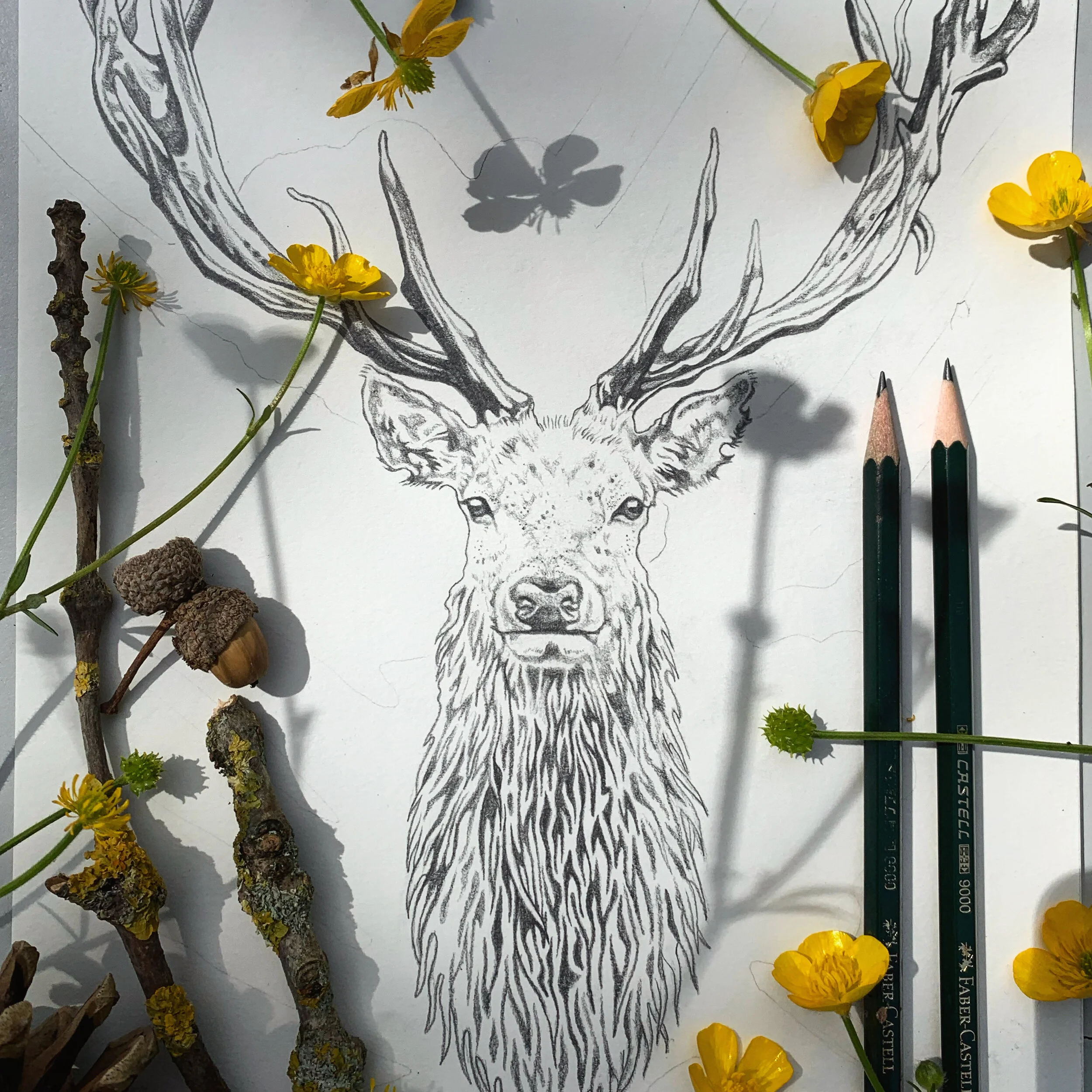 0F283934-78FB-485C-B927-9CA1D897509A 2.JPG