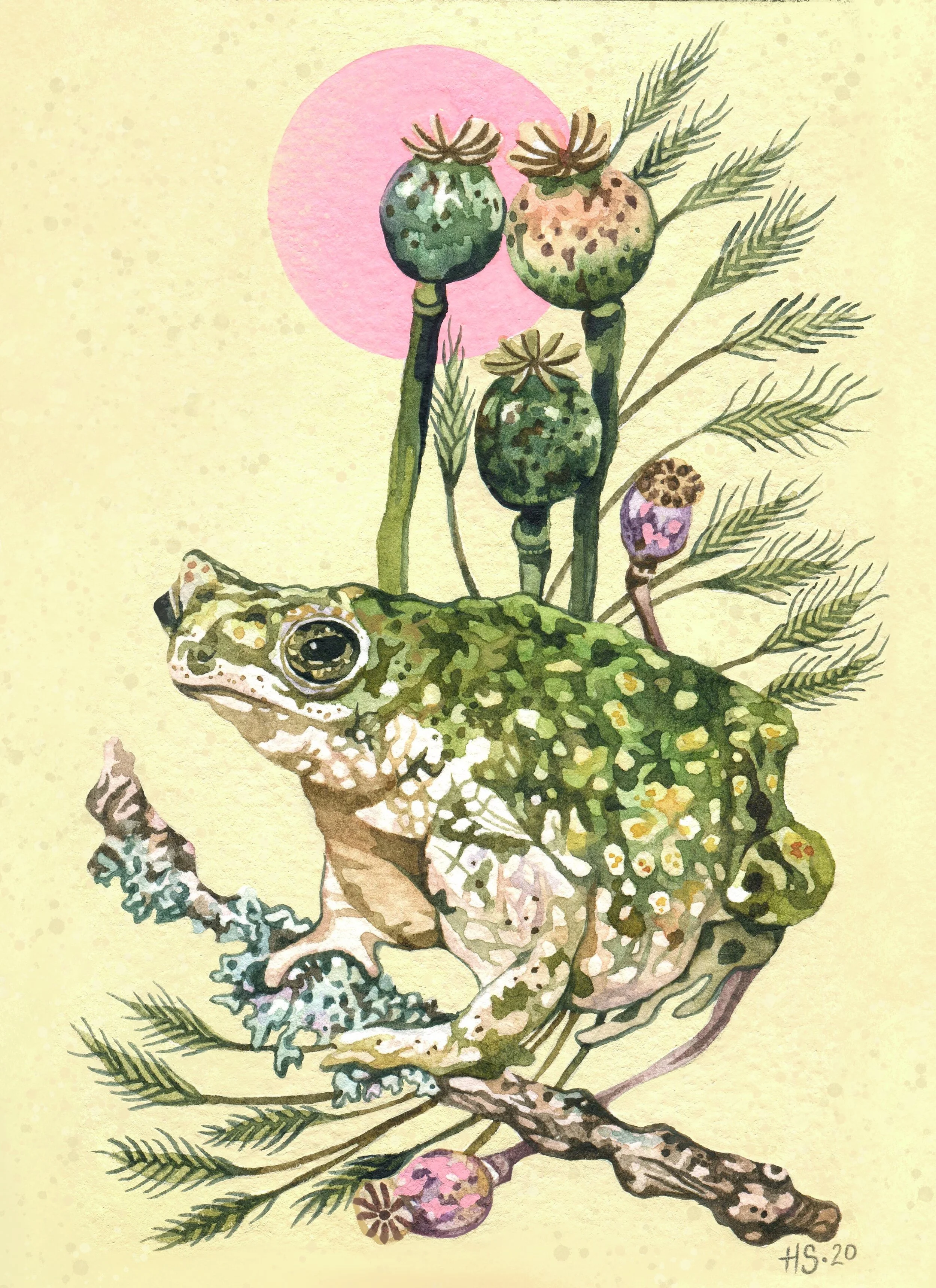 Untitled_Artwork 2.JPG