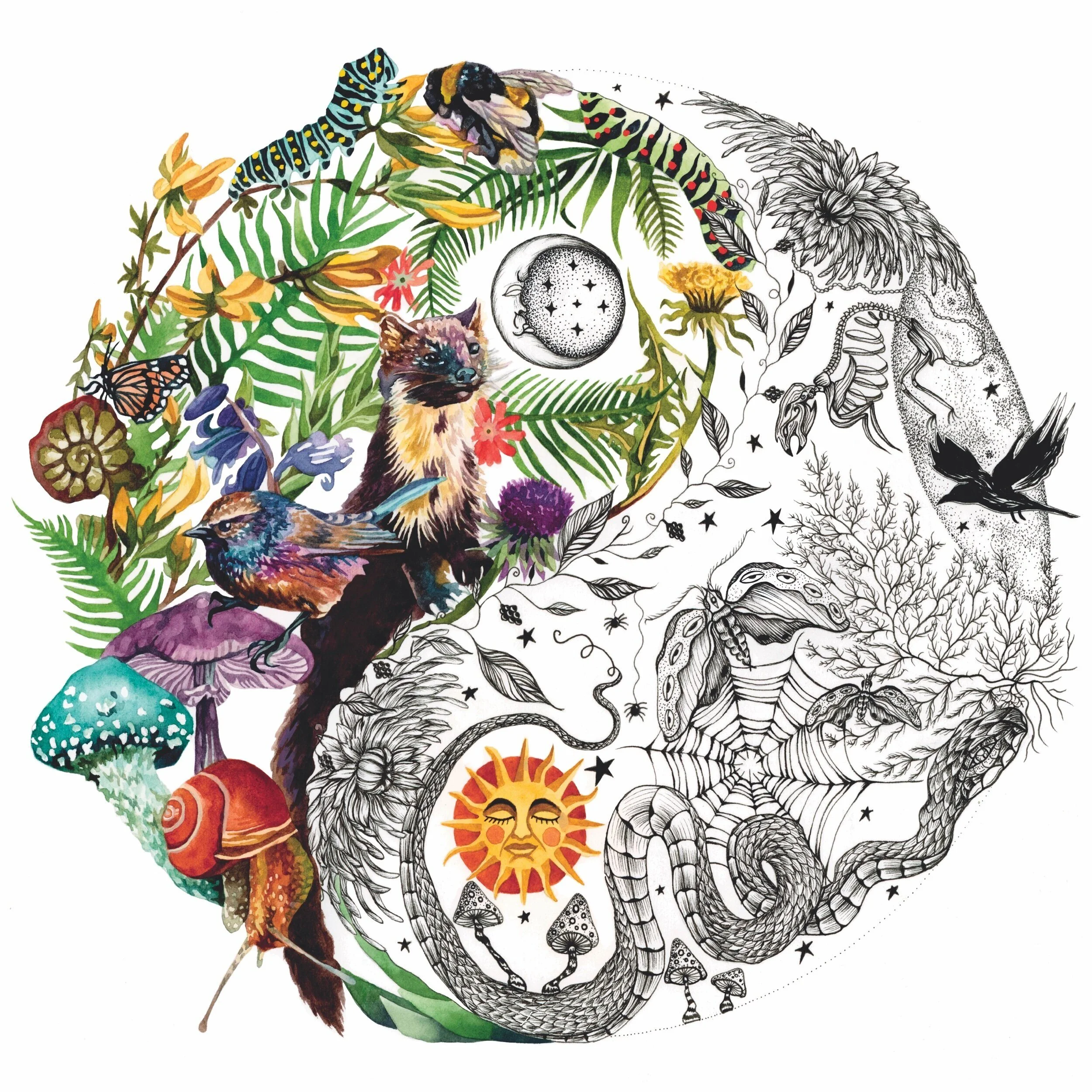 AF245C29-2893-429F-B6D5-6409E8EBC1A5