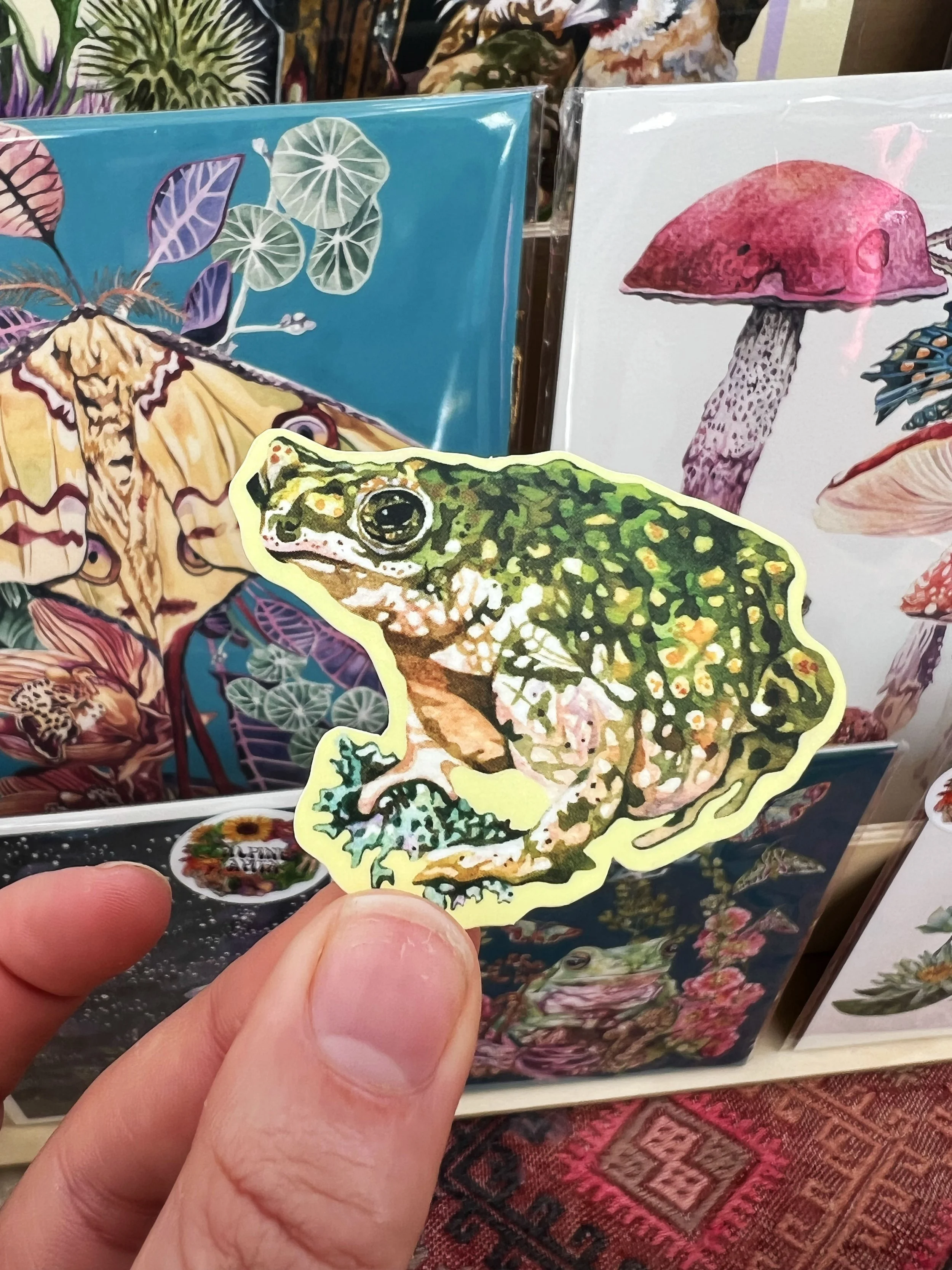 Frog sticker