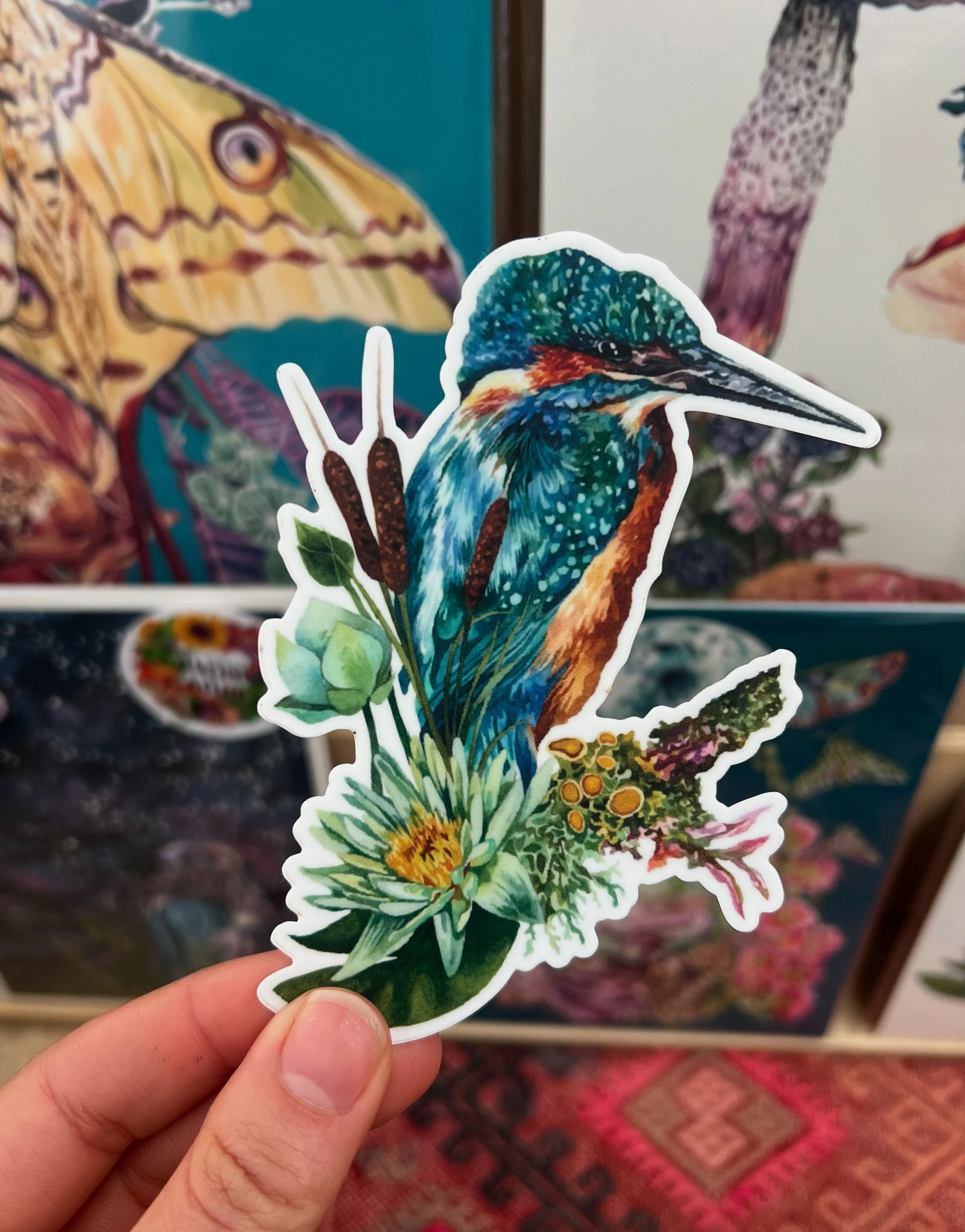 Kingfisher sticker
