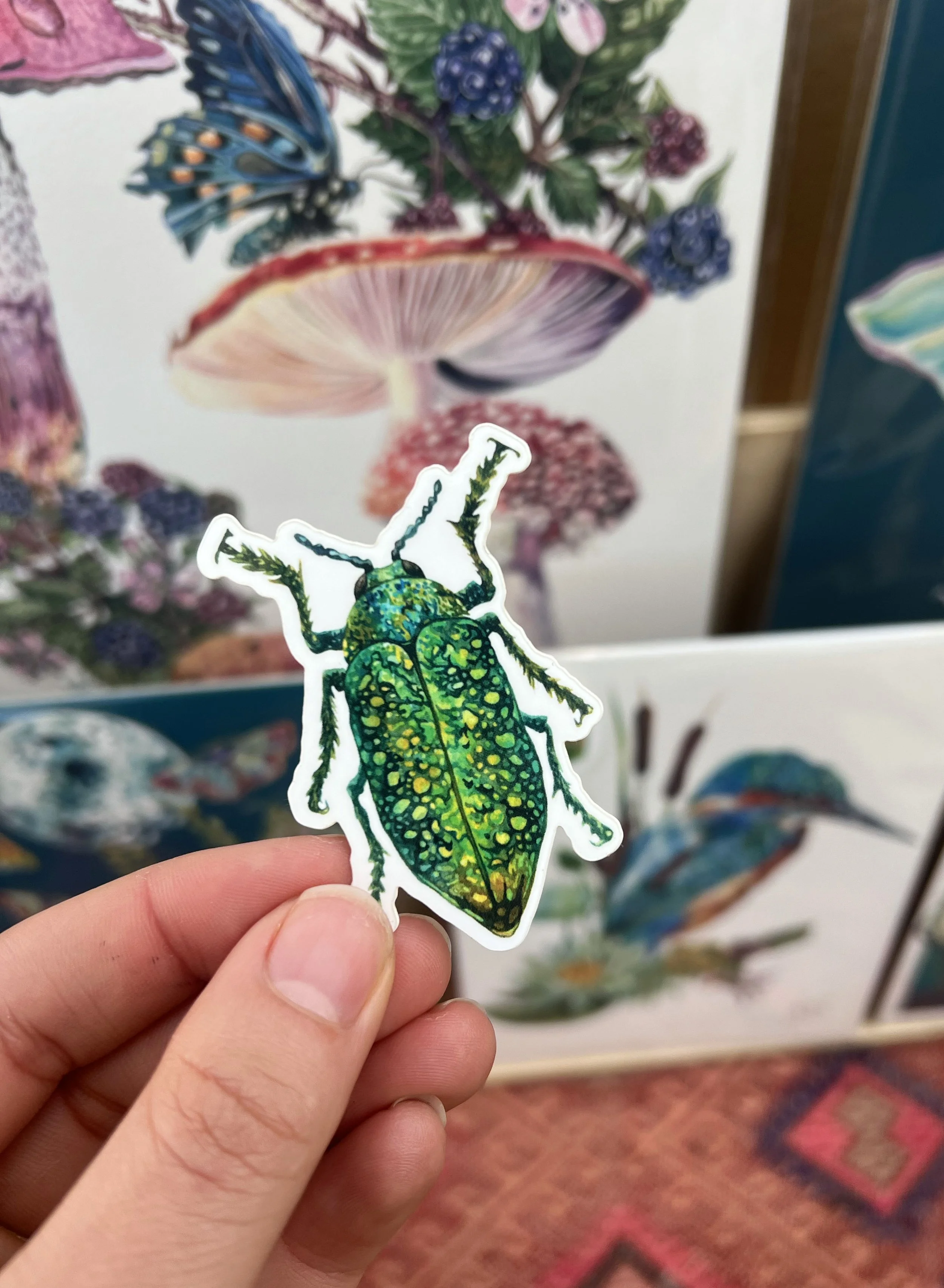 Beetle sticker