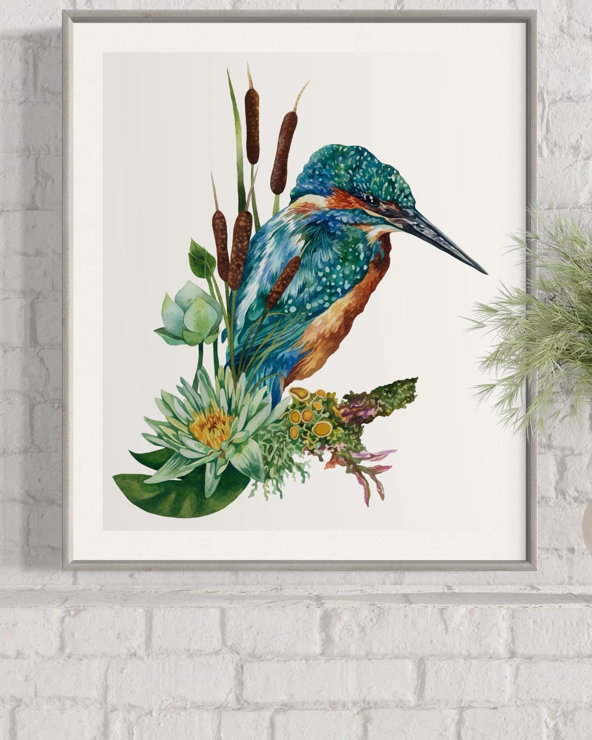 Kingfisher