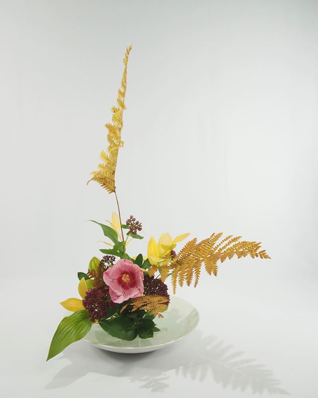 #floralarrangements#ikebana#生け花#いけばな#sogetsu#sougetsu#草月#sogetsuikebana #flower#flowers#はな#花#floralart#floraldesign #instaflower#instaflowerslovers#japan#japon#japaneseculture#myikebana#икебана