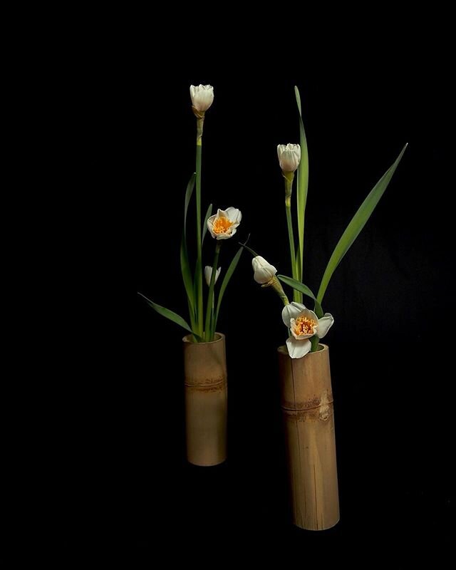 兄弟
Sister and brother 
#floralarrangements#ikebana#生け花#いけばな#sogetsu#sougetsu#草月#sogetsuikebana #flower#flowers#はな#花#floralart#floraldesign #instaflower#instaflowerslovers#japan#japon#japaneseculture#myikebana#икебана