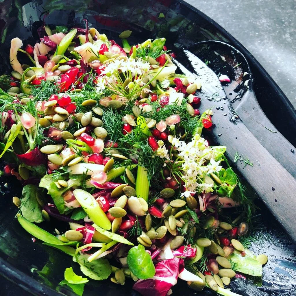 Fennel and pomegranate salad