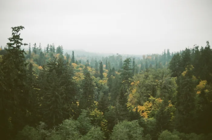 0021_15A.jpg