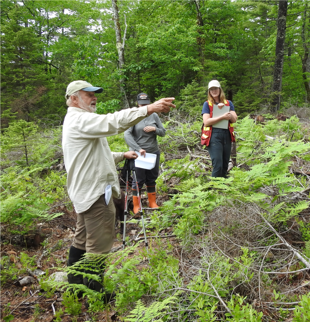 Maine forester, Robert Seymour speaking at a forest professionals tour in June 2019.