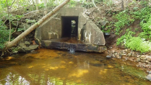 Perched culvert, blocking access to upstream habitat (Photo: Clean Annapolis River Project)