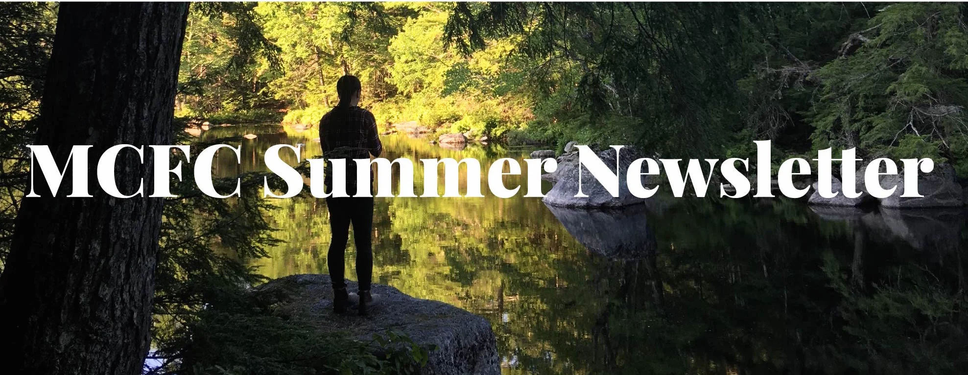summernewletter.jpg