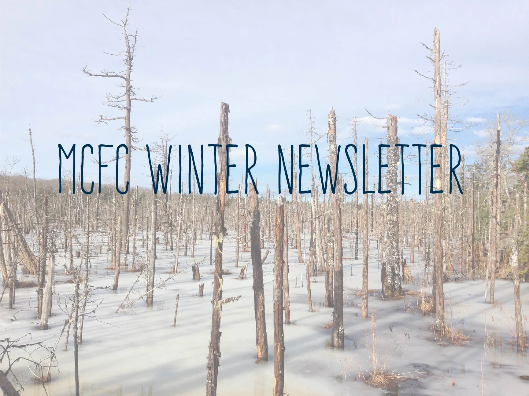 winternewslettergraphic.jpg