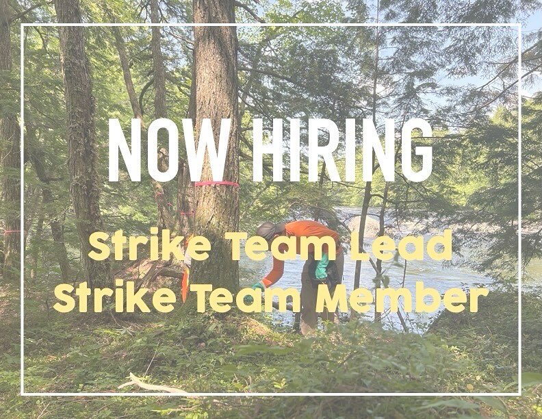 It&rsquo;s January, which means we&rsquo;re starting to grow our seasonal team! 

🌲If you love the outdoors and want to work in beautiful old growth forests every day, check out our positions on the HWA Strike Team. Work terms are on an 8-month cont