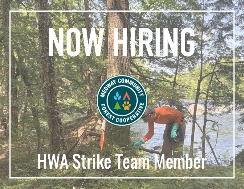 If you love the outdoors and want to work in beautiful old growth forests every day, join us as a a member of the HWA Strike Team! 

Your primary role will be to apply pesticides safely and efficiently to protect old-growth hemlock trees across south