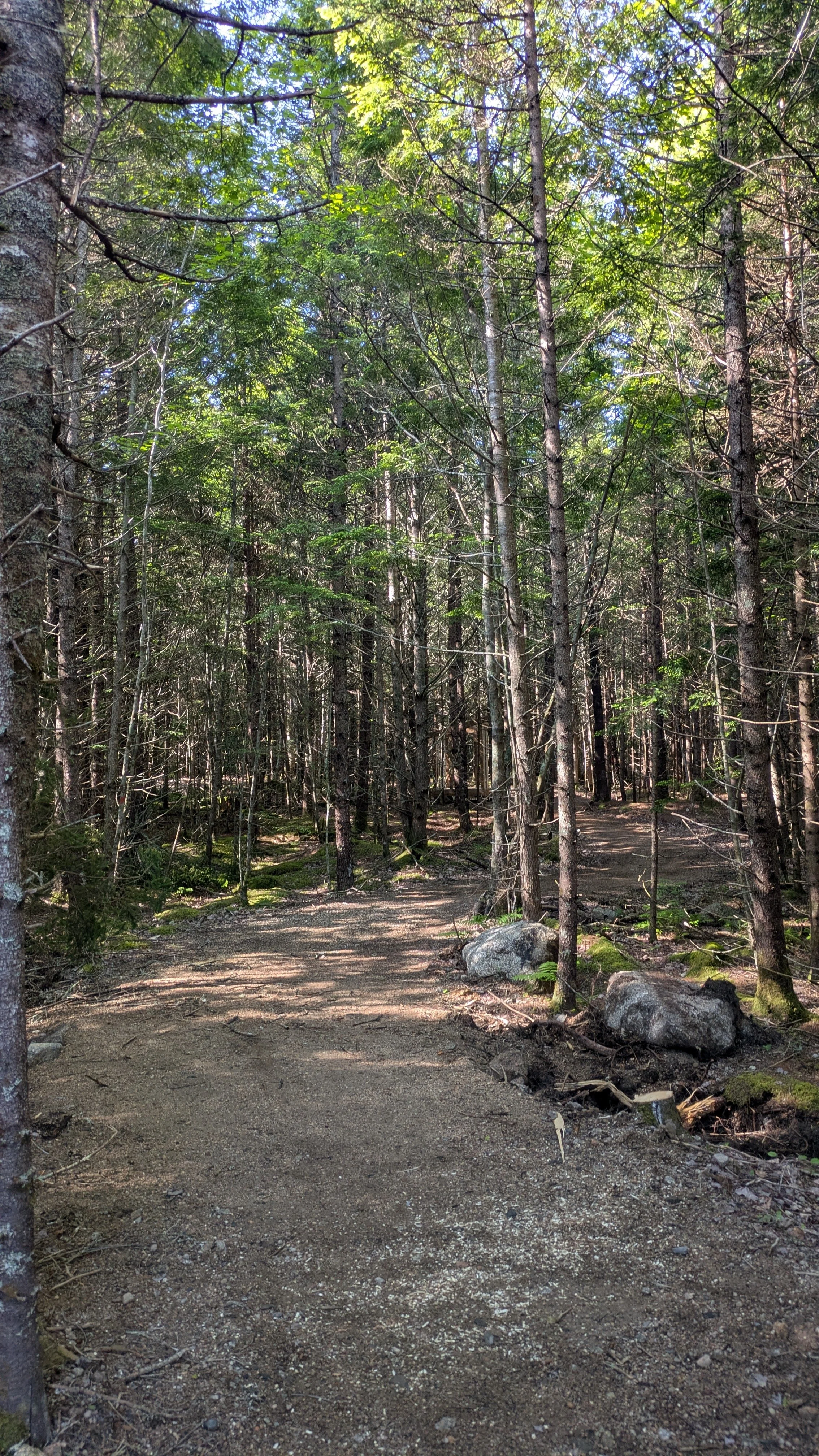 Pathway.jpg
