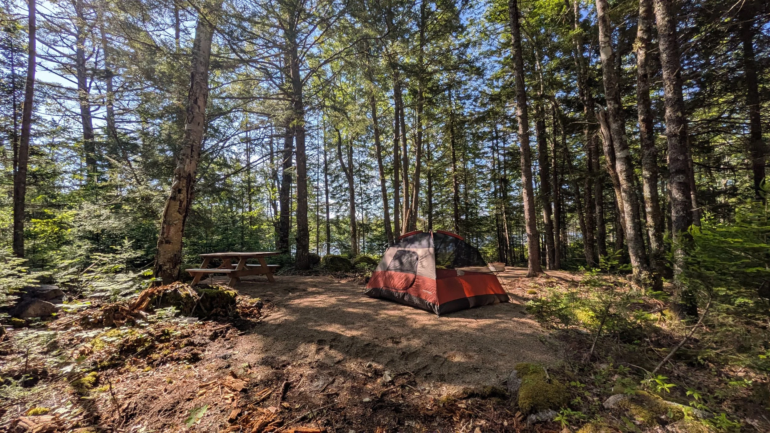 Campsite4_2.jpg