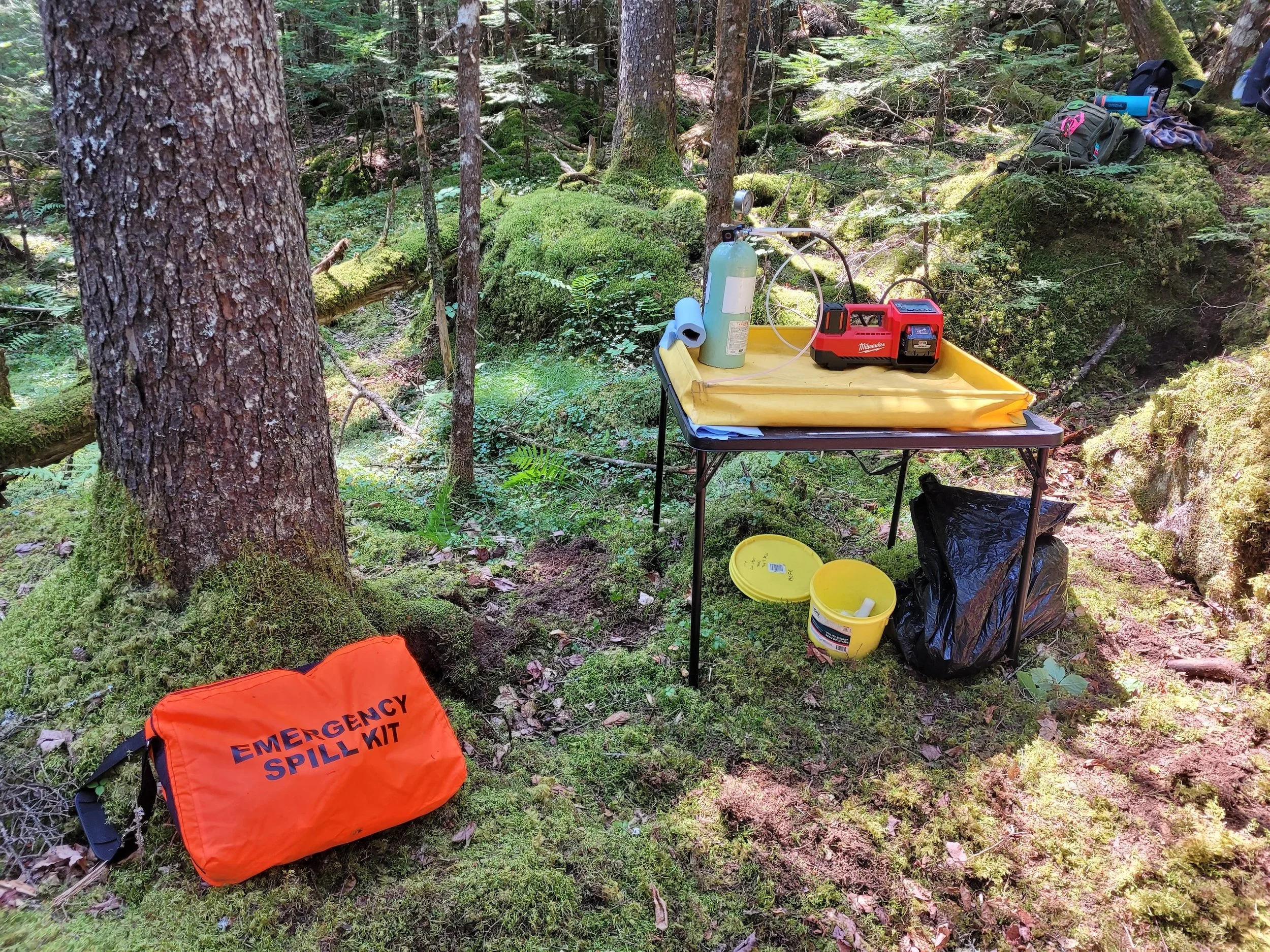 Webinar 1: Chemical Treatment Options and Resources for Woodland Stewards