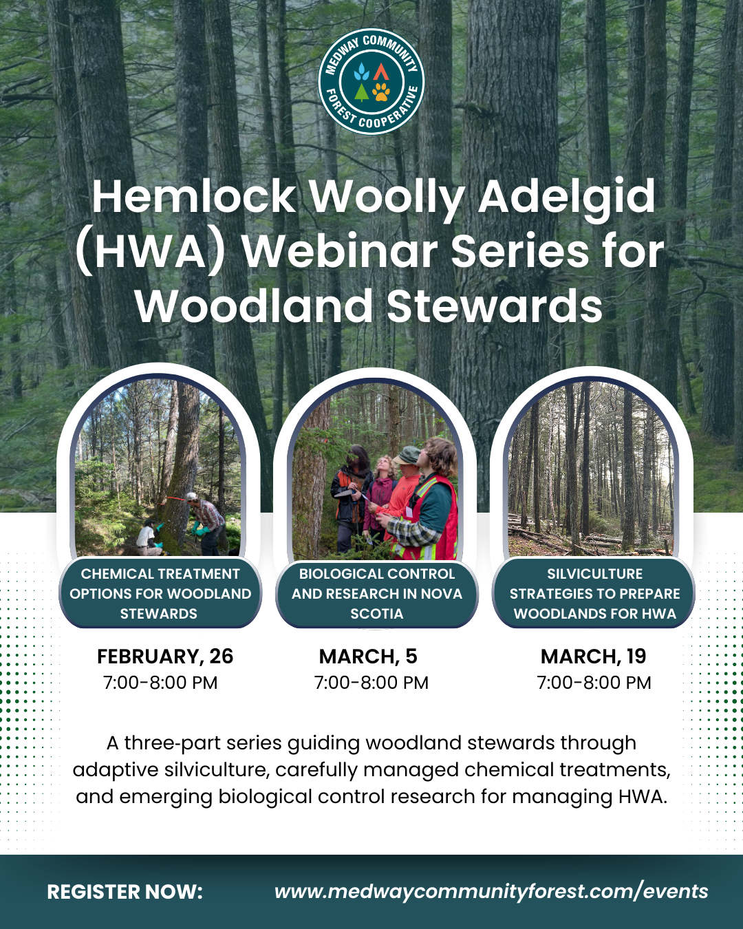 Hemlock Conservation Stewardship Series: A 3-part webinar series on managing Hemlock Woolly Adelgid (HWA) in Nova Scotia&nbsp;